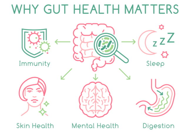 Why Gut Health Matters?